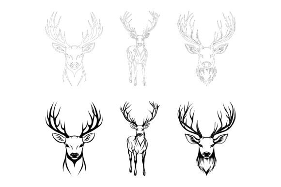 Head of a Deer Illustration Collection: A Practical Evaluation