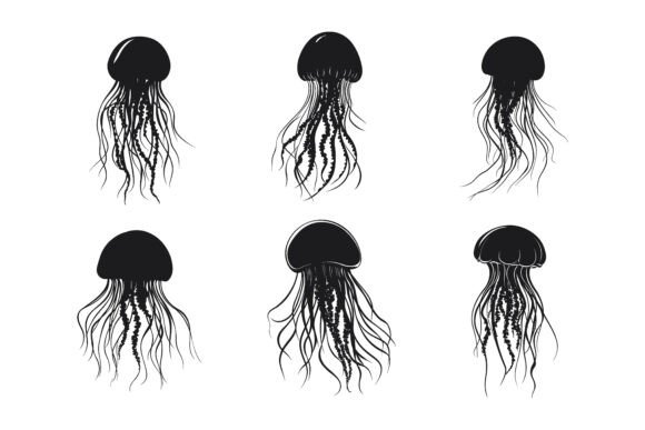 Jellyfish Silhouette: Capturing Oceanic Motion in Still Form